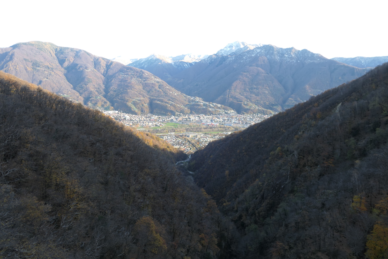 p1040711.jpg