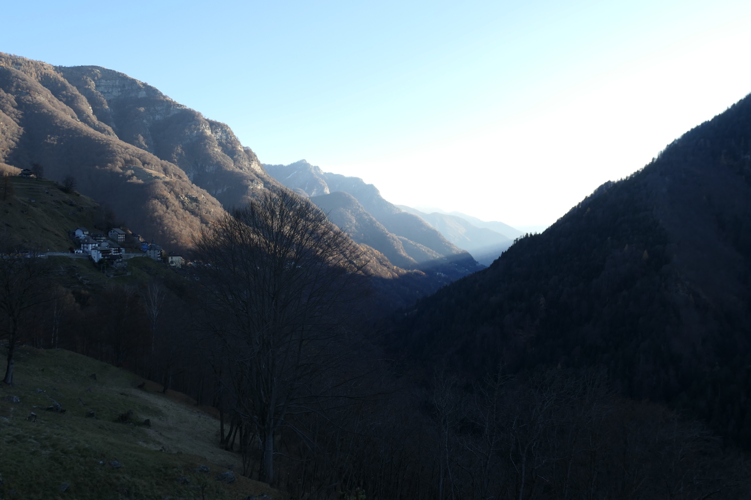 p1040716.jpg