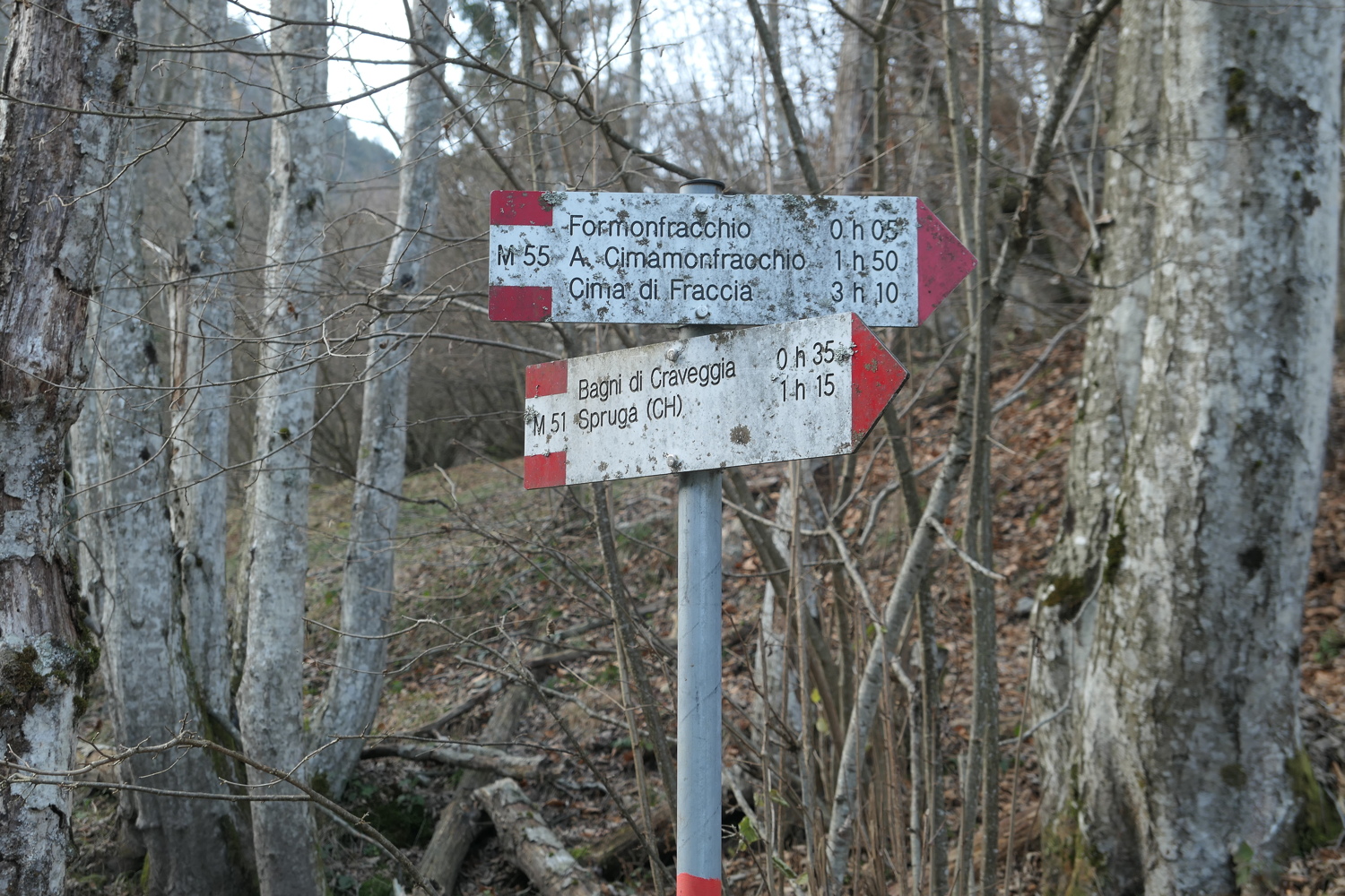 p1040743.jpg