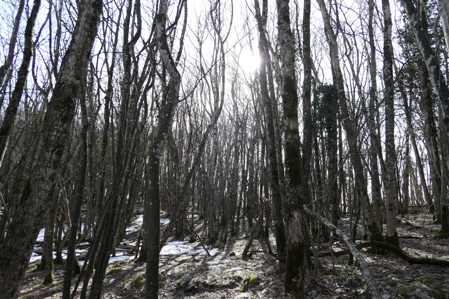 p1020225.jpg