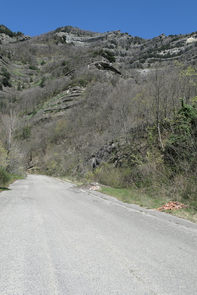 p1050582.jpg