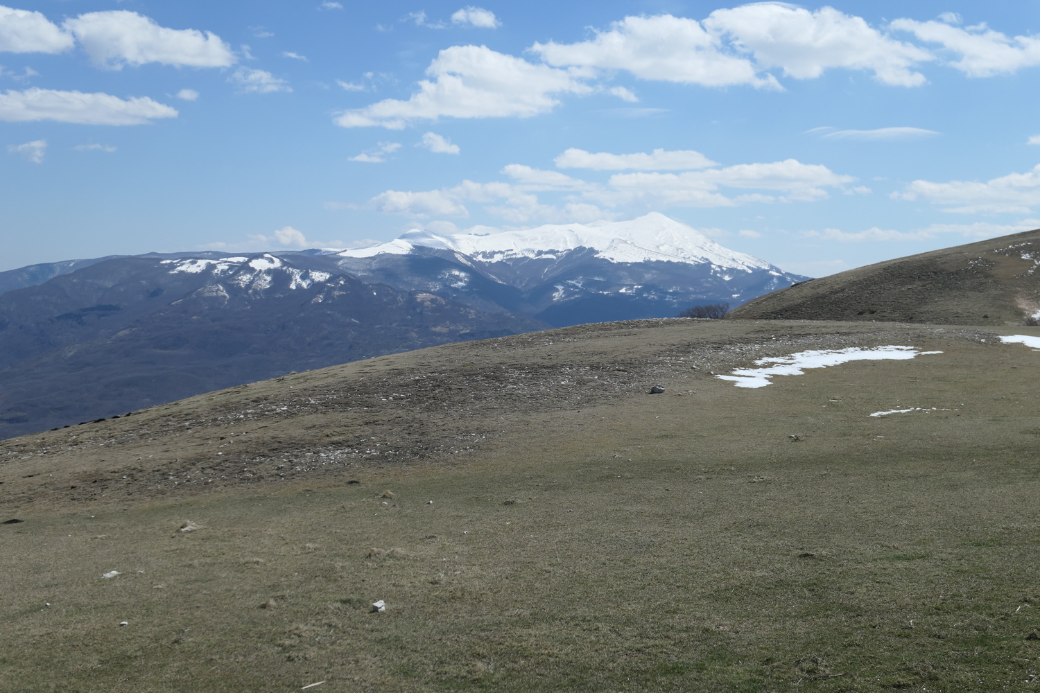 p1050589.jpg