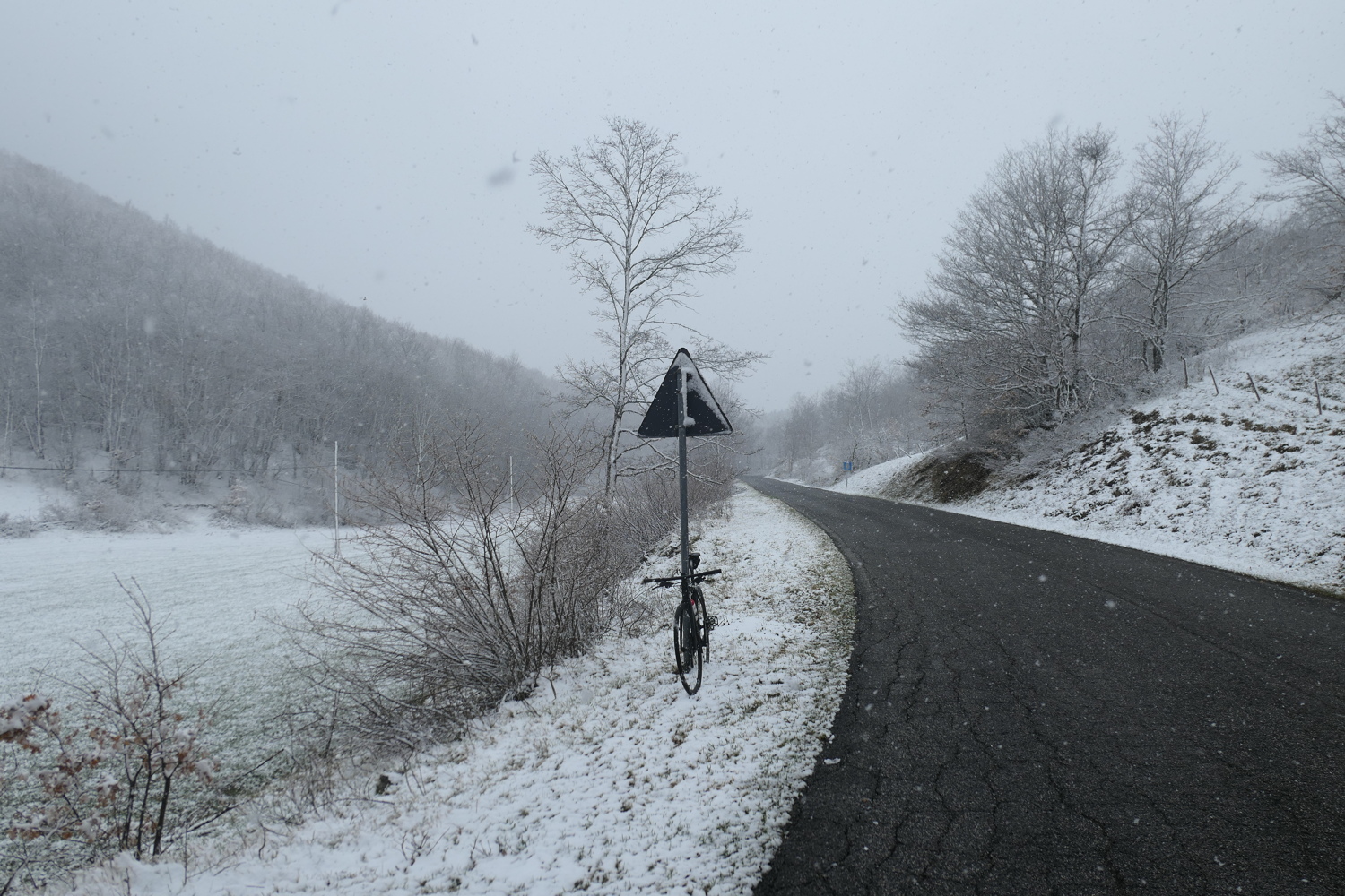 p1050616.jpg