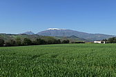 p1050574.jpg