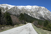 p1050588.jpg