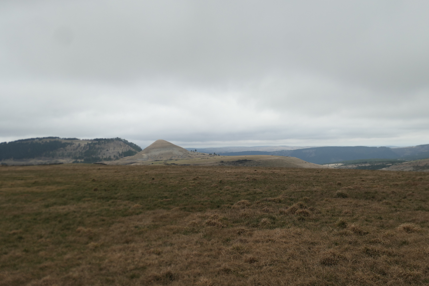 p1080323.jpg