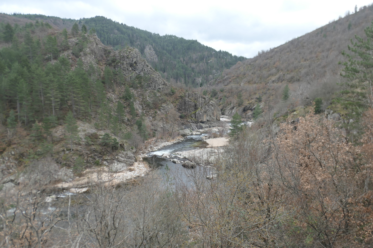 p1080342.jpg