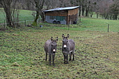 p1080169.jpg