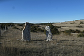 p1080313.jpg