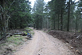 p1080325.jpg