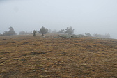 p1080329.jpg