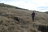 p1080351.jpg