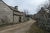 p1080353.jpg