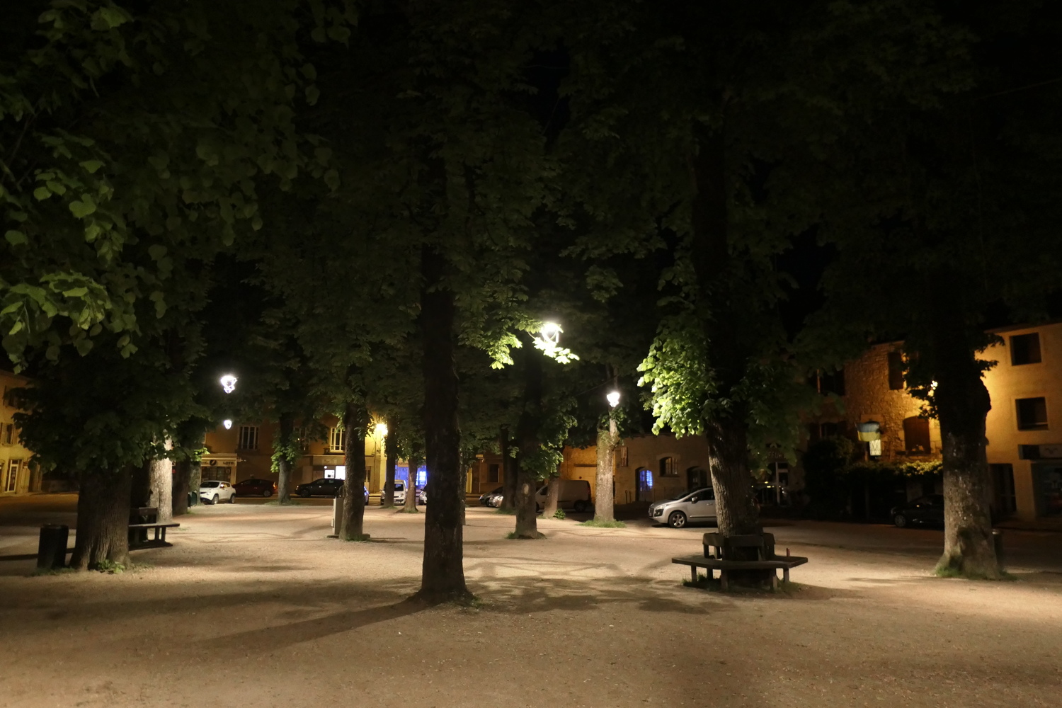 p1050702.jpg