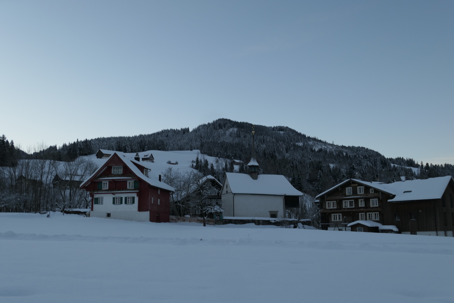p1080107.jpg