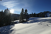 p1080109.jpg