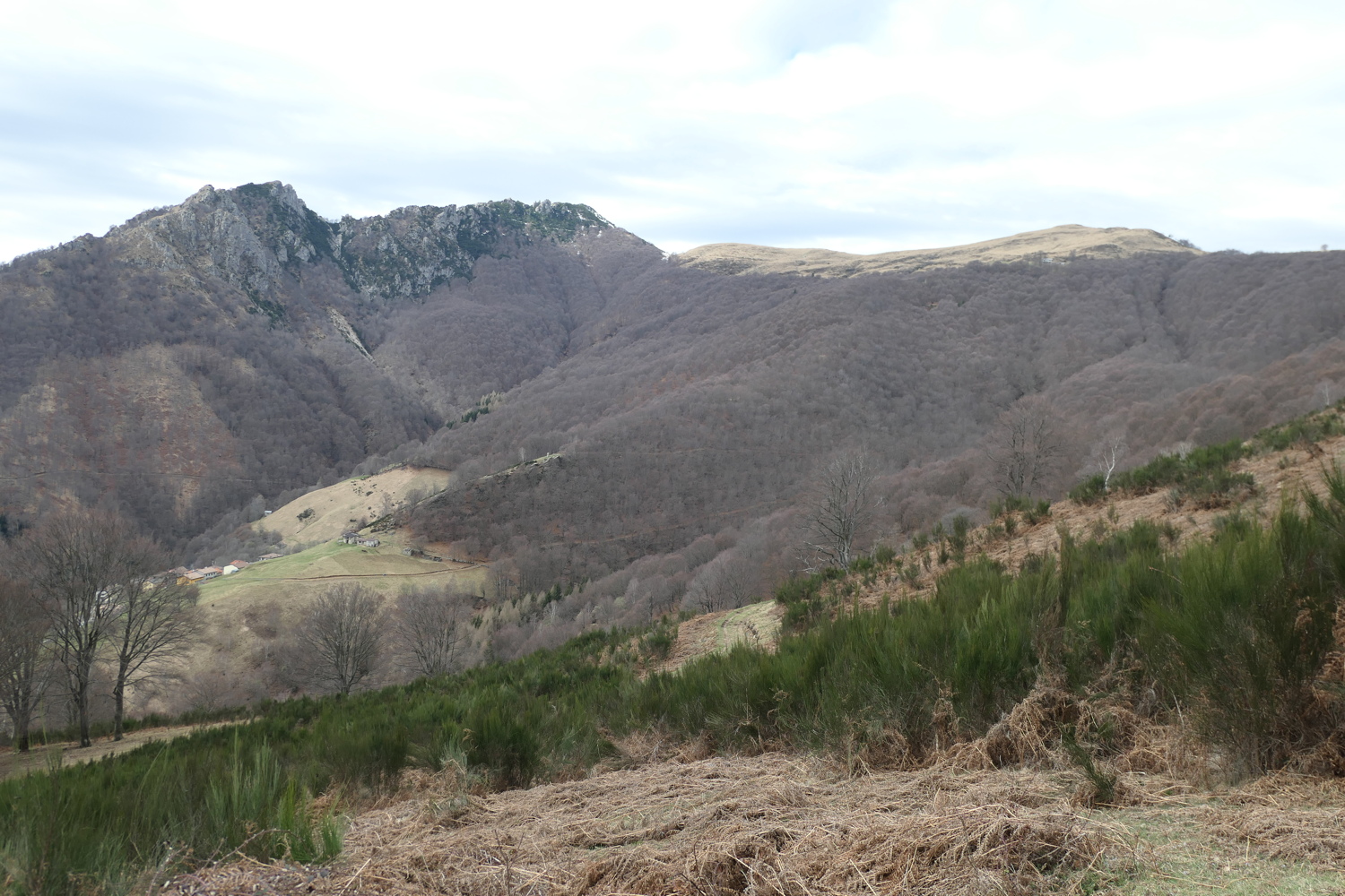 p1050520.jpg