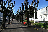 p1050475.jpg