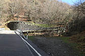 p1050482.jpg