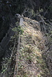 p1050513.jpg