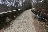 p1050518.jpg