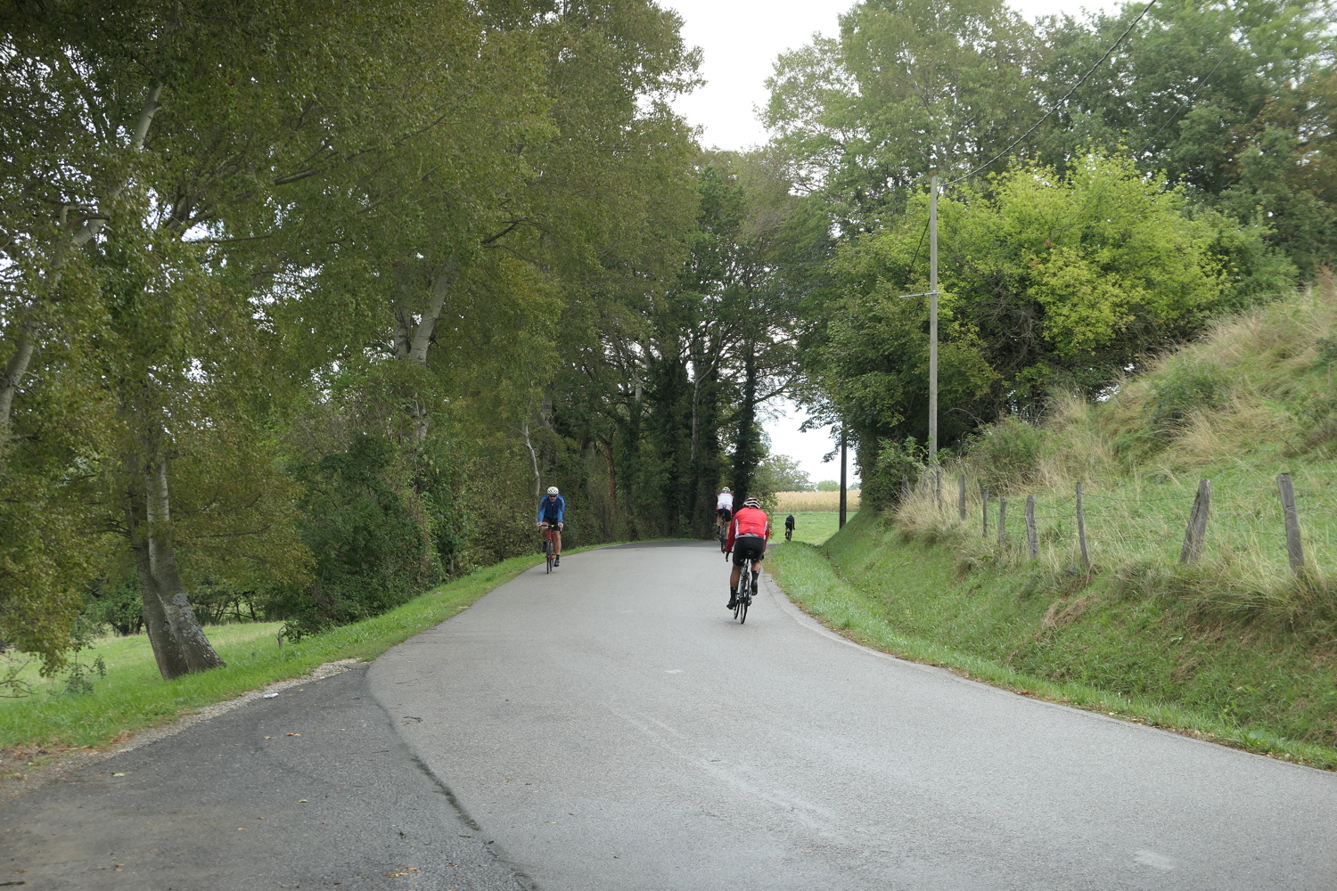 p1060676.jpg