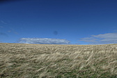p1060684.jpg