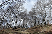 p1050538.jpg