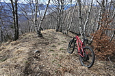 p1050540.jpg
