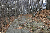 p1050542.jpg