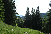 p1060076.jpg