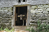 p1060085.jpg