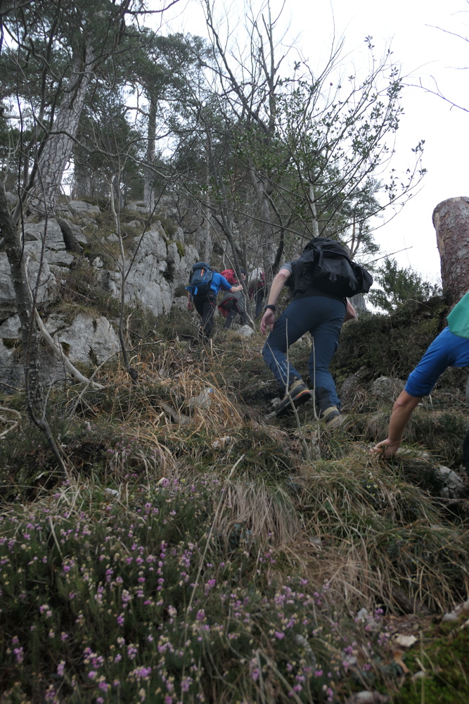 p1050063.jpg