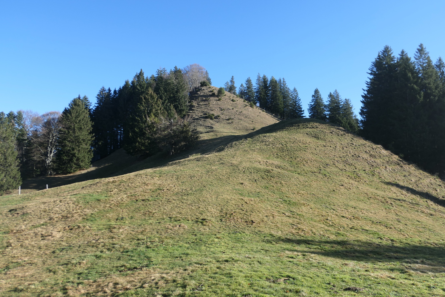 p1050075.jpg