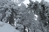 p1080071.jpg