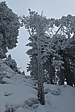 p1080072.jpg