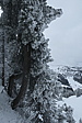 p1080073.jpg