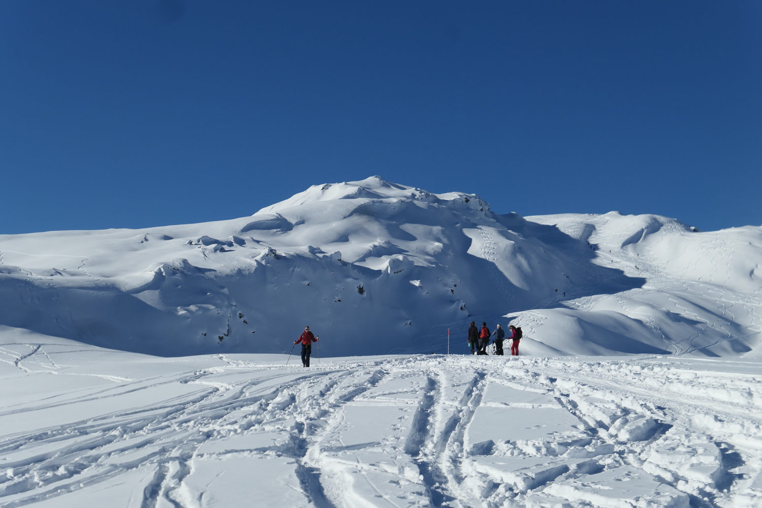 p1080154.jpg