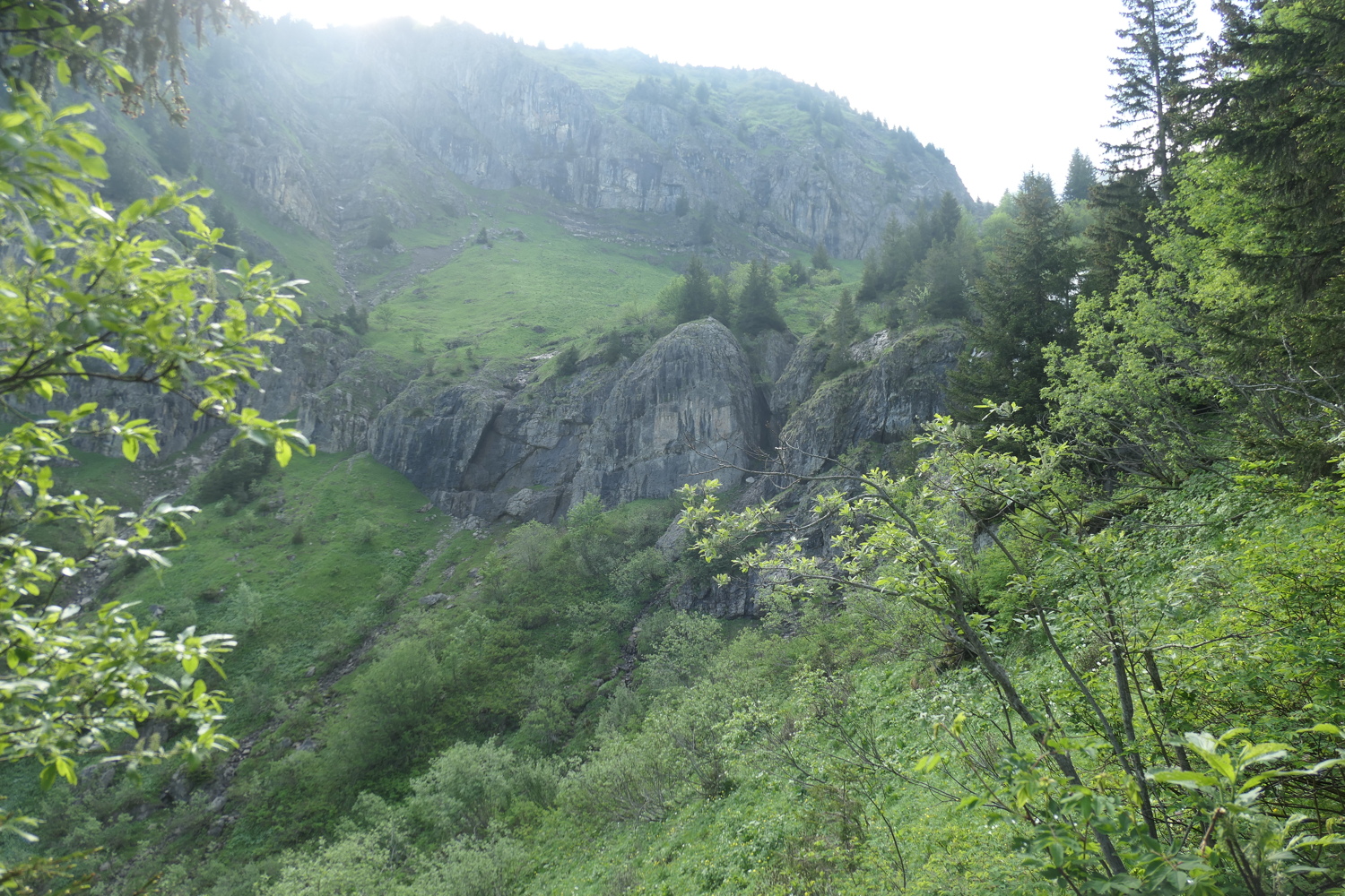 p1060056.jpg