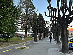 p1050186e.heic