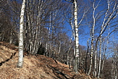 p1050191.jpg