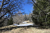 p1050196.jpg