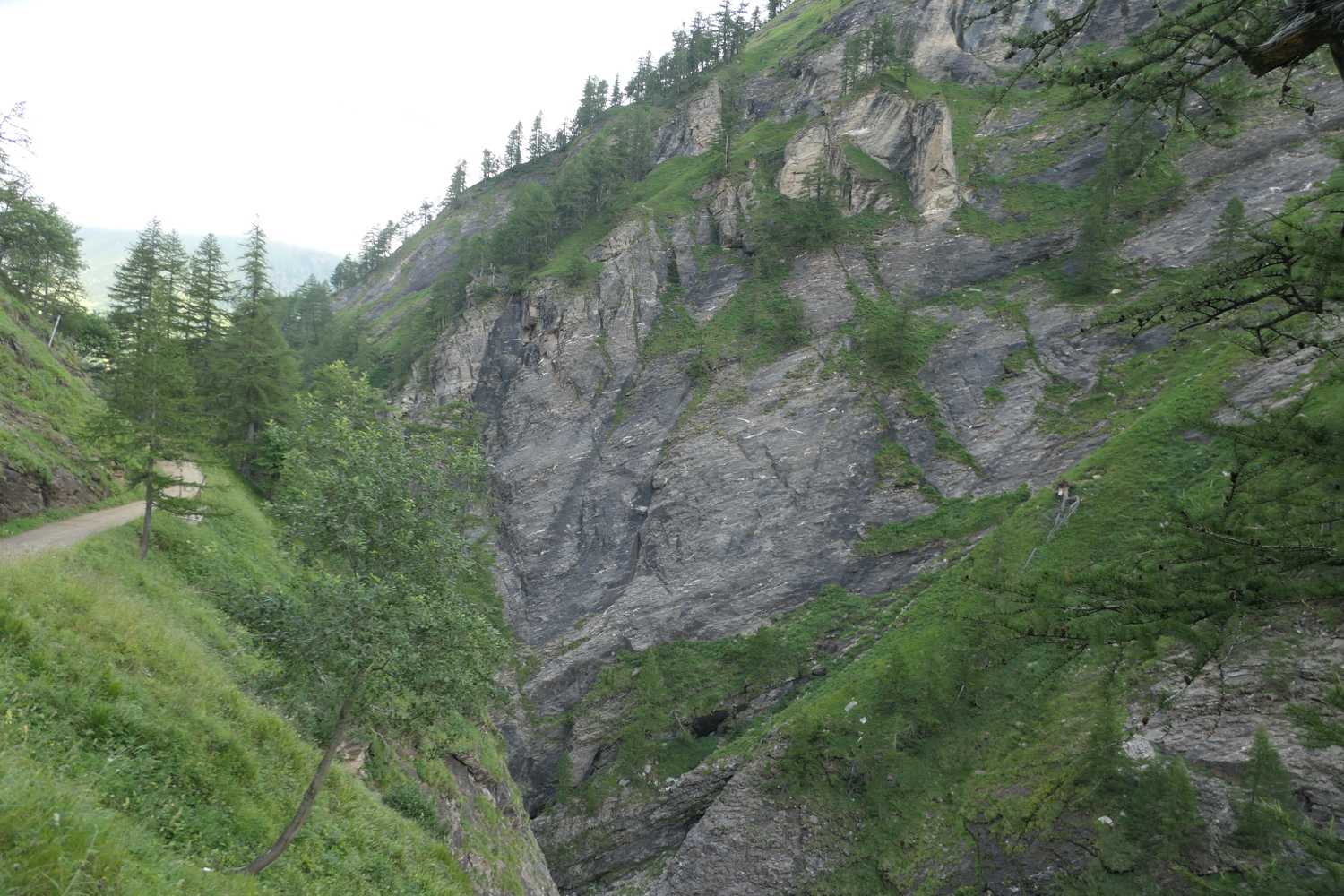 p1060391.jpg