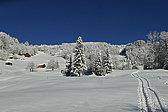 p1080100.jpg
