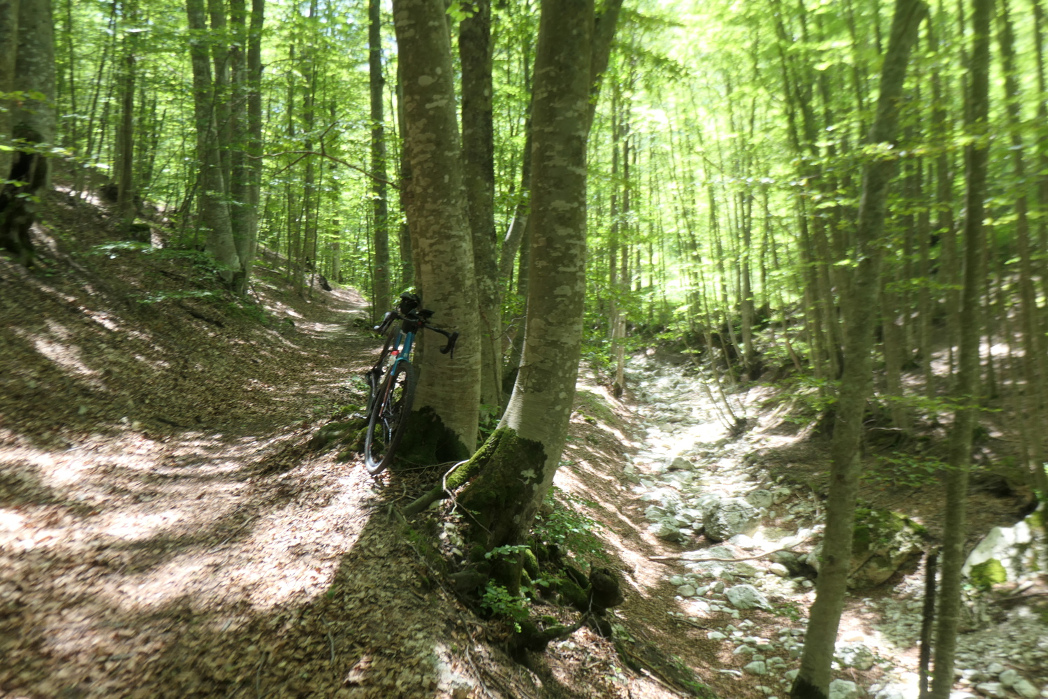p1005343.jpg