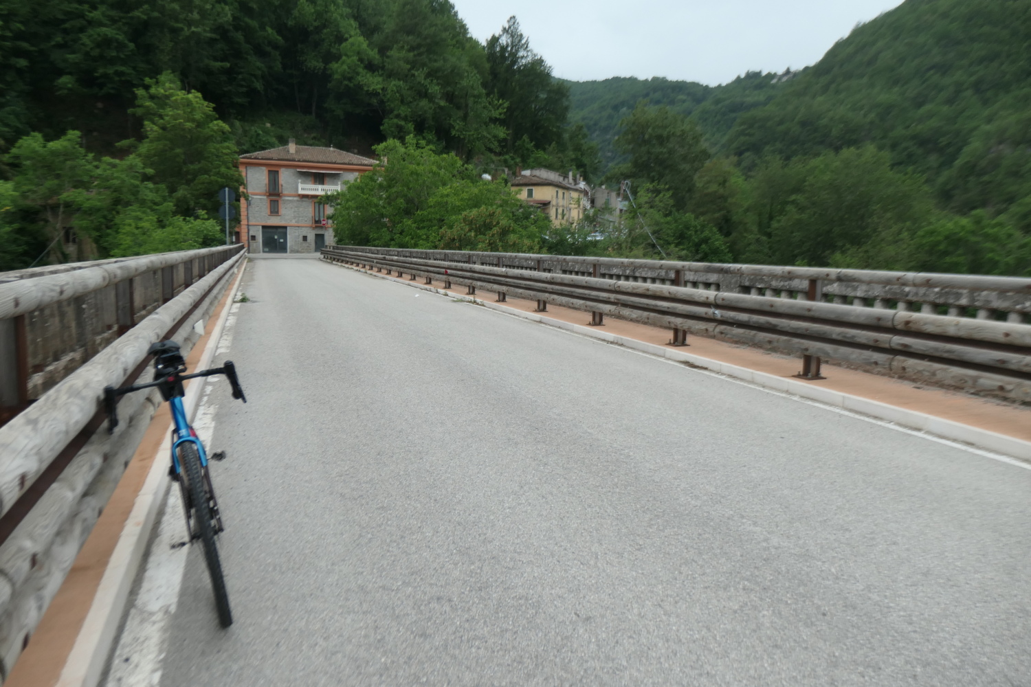 p1005353.jpg