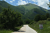 p1005284.jpg
