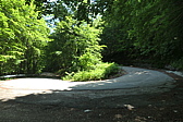 p1005286.jpg