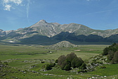 p1005294.jpg