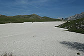p1005315.jpg